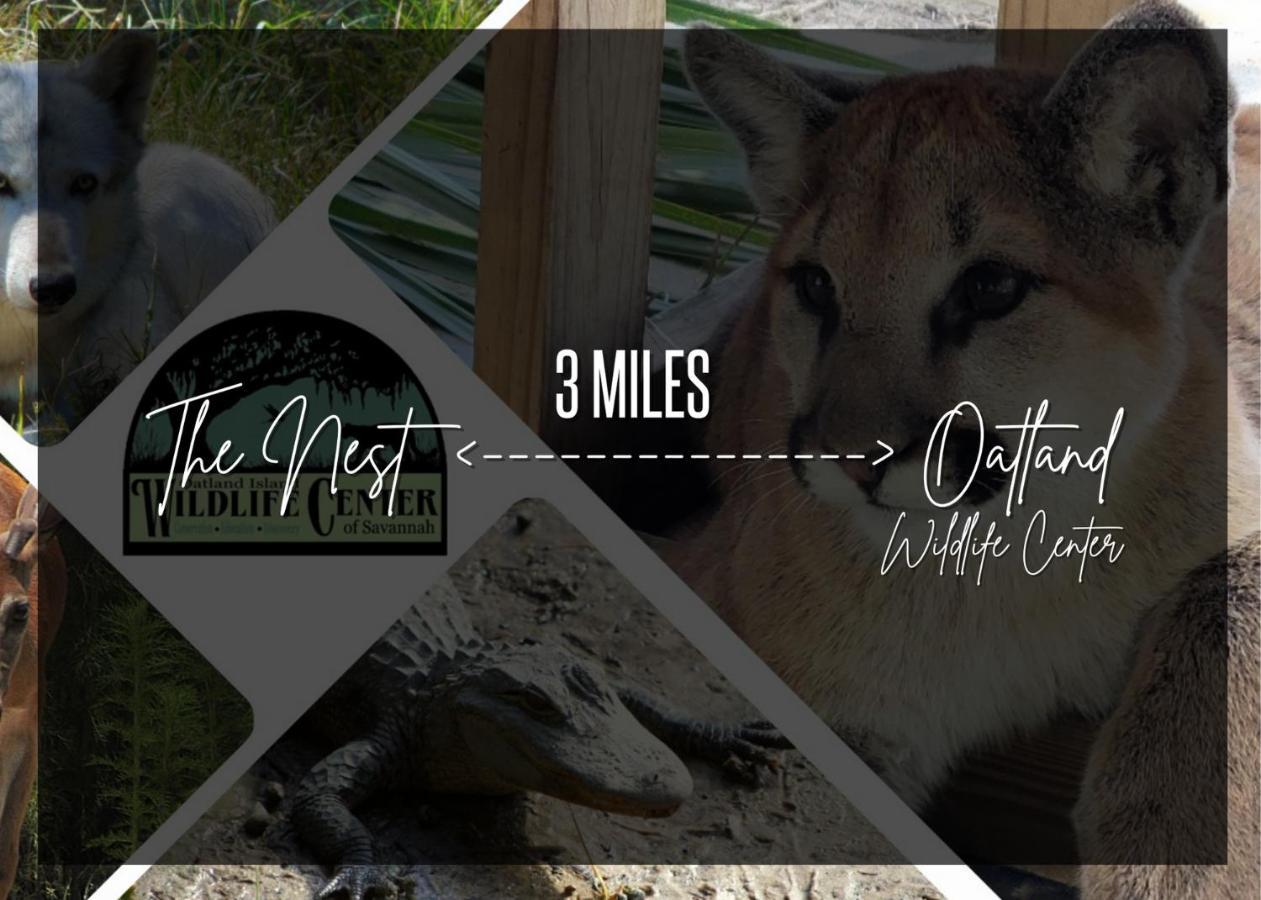Cozy Oasis 15Min To Dt & Tybee, Home Away From Home - The Nest Savannah Exteriér fotografie